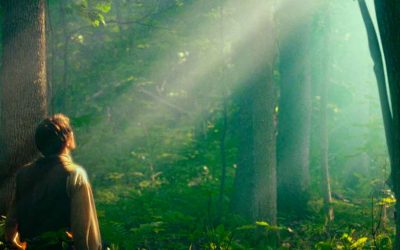 Why would Joseph Smith wait for so many years before writing the events of his first vision?