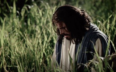 If God loves us then why does he make us suffer so much?