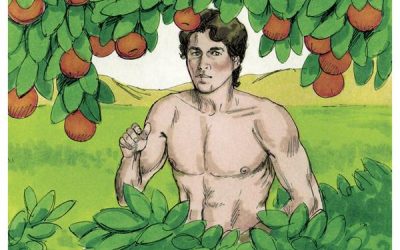 When was Adam born?