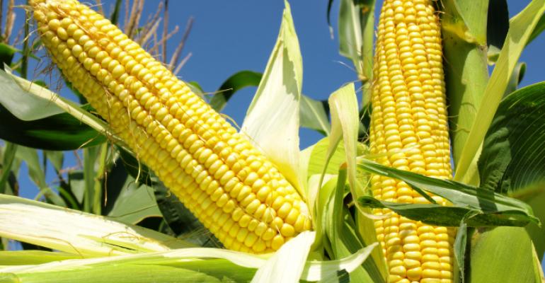 Did corn exist in the eastern hemisphere in pre-Columbian times?