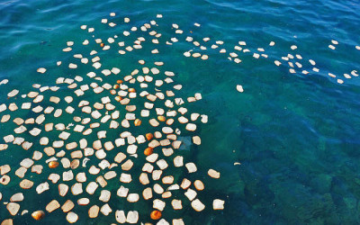 What does it mean to “cast your bread upon the water?”