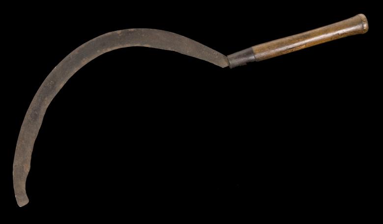 What does “thrust in your sickle” mean?