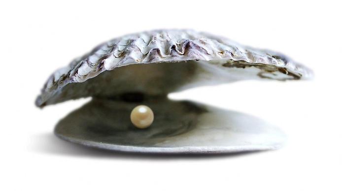 What is meant by “to obtain the Pearl of Great Price?