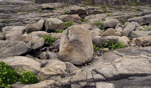 What is meant by “even the stones would cry out?”