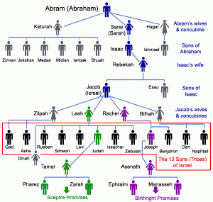 Why is family genealogy so important in the Mormon church?