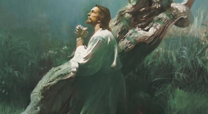 Why doesn’t The Lord’s Prayer contain any sign of gratitude?