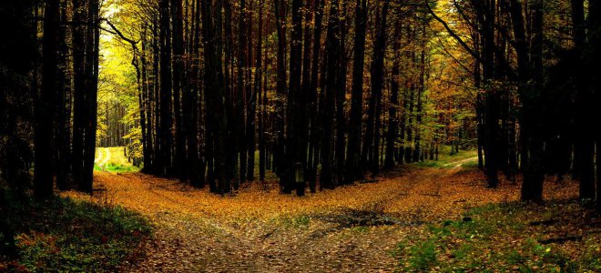 Are some lives predetermined or foreordained by the Lord?