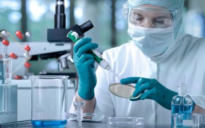 Does the LDS Church have a position on stem cell research?