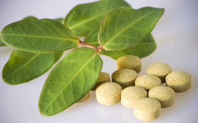 Is it okay to use supplements that contain green tea?
