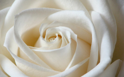 What is the difference between purity and righteousness?