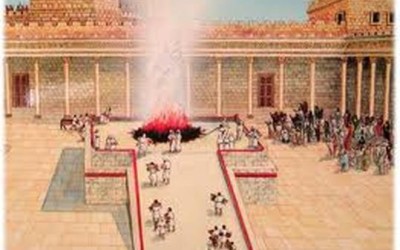 Will the Levites hold a literal blood sacrifice in the last days?
