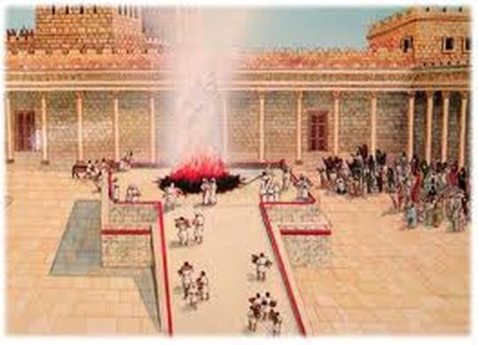 Will the Levites hold a literal blood sacrifice in the last days?