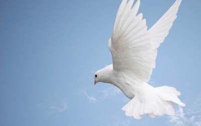 Can you differentiate for me between the Holy Spirit of Promise and the Second Comforter?
