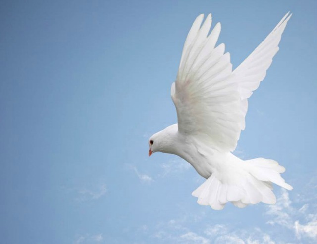 How can the Holy Ghost dwell in righteous people if He can be in only one place at one time?