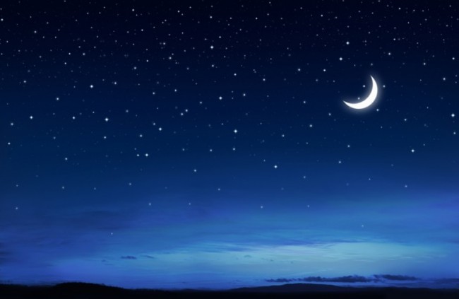 Are there 3 degrees in the Terrestrial Kingdom?