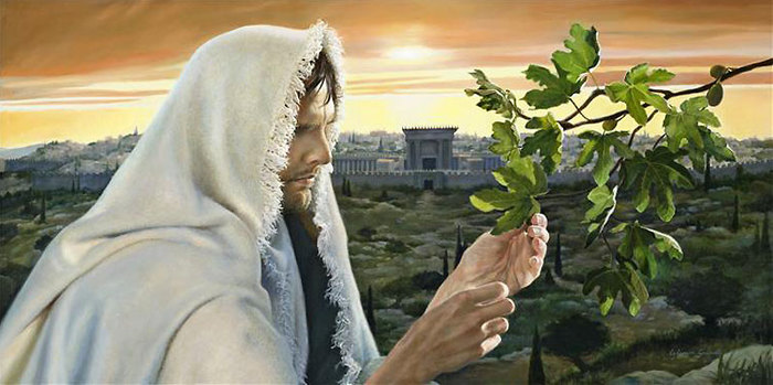 Was Jesus Christ the first person to be resurrected?