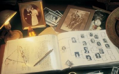 When doing family history, should we pursue an adopted line or a biological line?