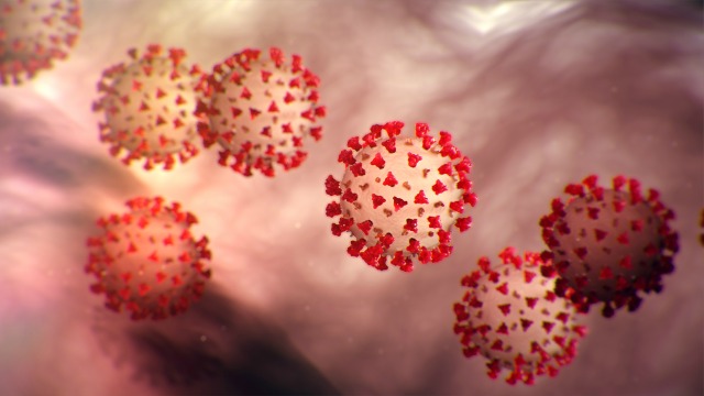 Have people learned anything from the COVID-19 pandemic?