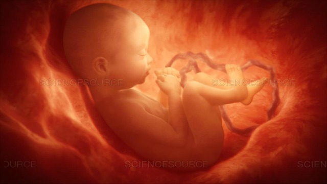 Is the sin of abortion on the head of both the man and the woman?