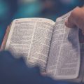 A Man Holding a Bible | How to Differentiate Jesus Christ and the Heavenly Father | Is the Heavenly Father God or Jesus?