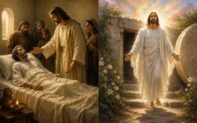 What is the difference between being raised from the dead and resurrection?